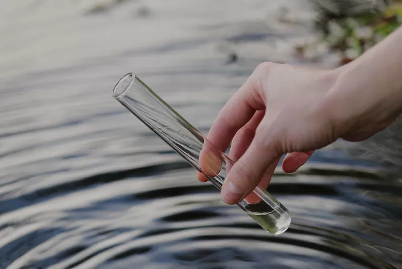 Giám sát môi trường